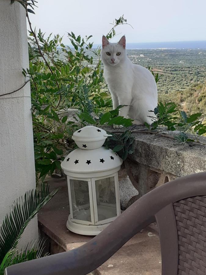 Appartamento Dimora in collina Monopoli Esterno foto